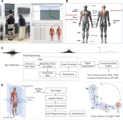 Effect of different postures and loads on joint motion and muscle activity in older adults during overhead retrieval